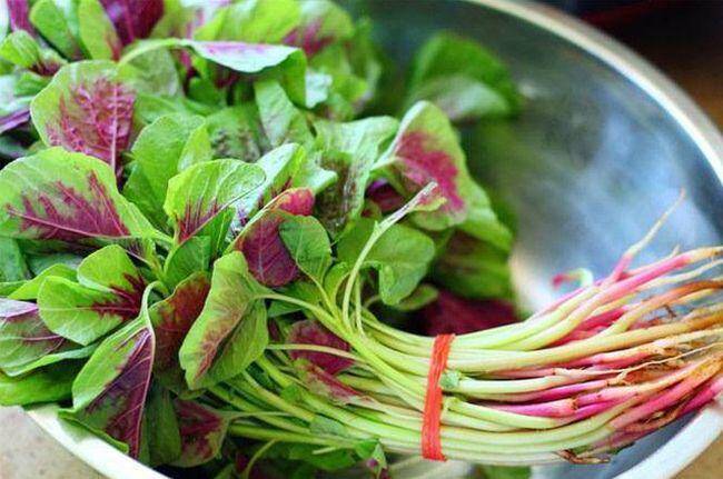 Loại rau có axit folic gấp 46 lần dưa chuột, mệnh danh là &#34;rau trường thọ&#34;, bà bầu bỏ qua quá phí - 3