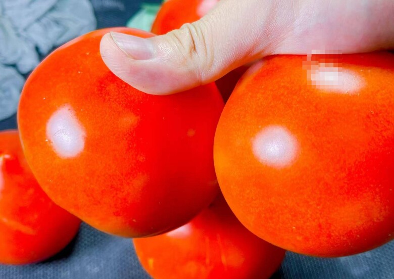 Mua cà chua nên chọn “đầu tròn” hay “đầu nhọn”? Người trồng mách có sự khác biệt lớn, đừng chọn nhầm kẻo lãng phí - 3