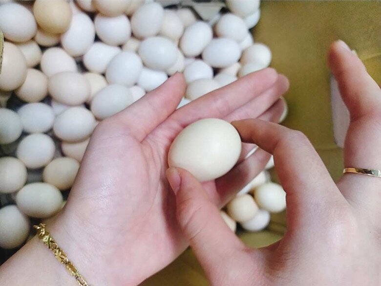 Mua trứng gà người thông minh chỉ chọn quả nhỏ, người nuôi lỡ miệng nói &#34;sau đừng mua bừa bãi&#34; - 3