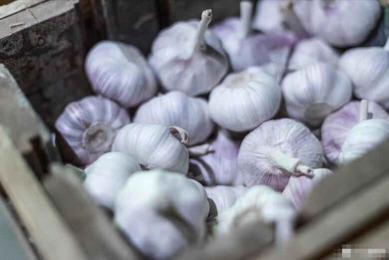 Tỏi bán đầy chợ nhưng có 5 củ này đừng mua, ngay cả người bán rau cũng không ăn, hãy nhanh nhắc nhở gia đình - 2