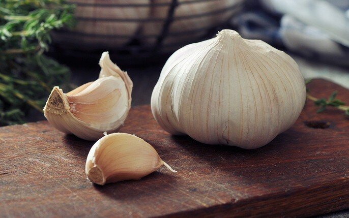 Vì sao tỏi ở siêu thị không mọc mầm, nhưng mang về nhà vài ngày lại nhú mầm? Đọc xong mới vỡ lẽ! - 2