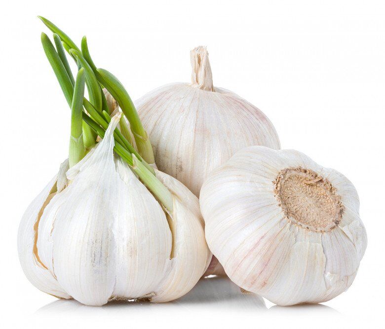 Vì sao tỏi ở siêu thị không mọc mầm, nhưng mang về nhà vài ngày lại nhú mầm? Đọc xong mới vỡ lẽ! - 3