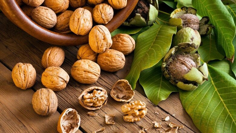 Một món H’Hen Niê phát ngán vẫn ráng ăn vì tốt cho thai nhi, mỗi ngày chỉ được ăn 10 hạt, vượt mức sẽ gây hại - 6