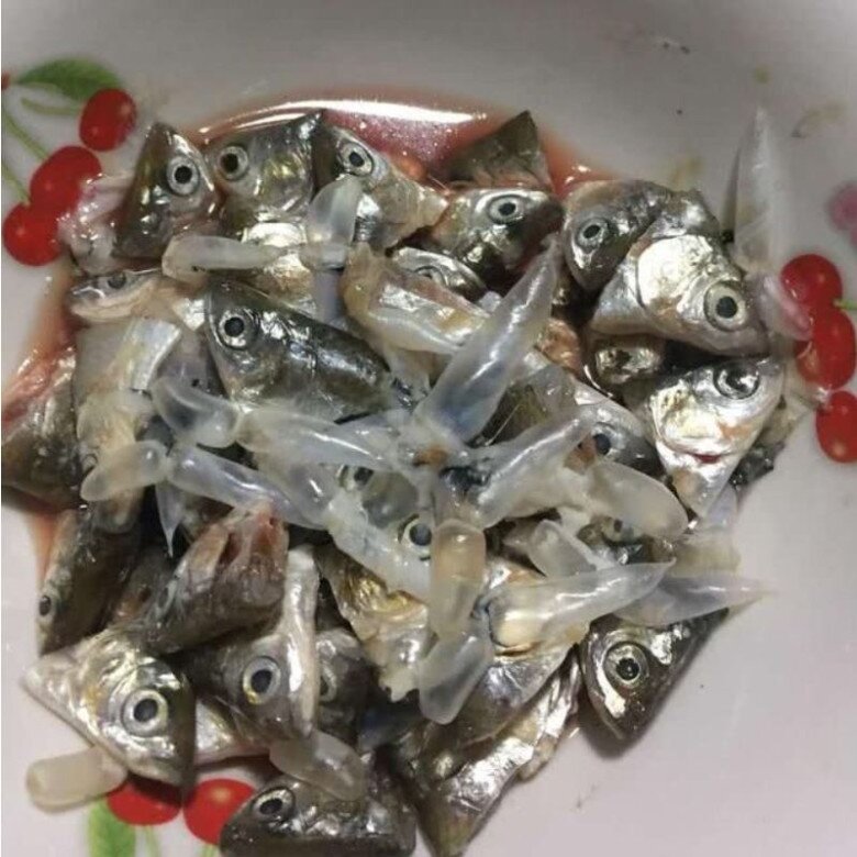 Đây là 3 loại phân đạm, lân, kali có sẵn trong nhà, cây lúc nào cũng xanh mơn mởn, hoa nở rộ quanh năm - 3