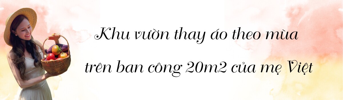Khu vườn trên ban công 20m² của mẹ Việt ở Thượng Hải: Xuân hoa nở rực rỡ, hè rau xanh mơn mởn - 1