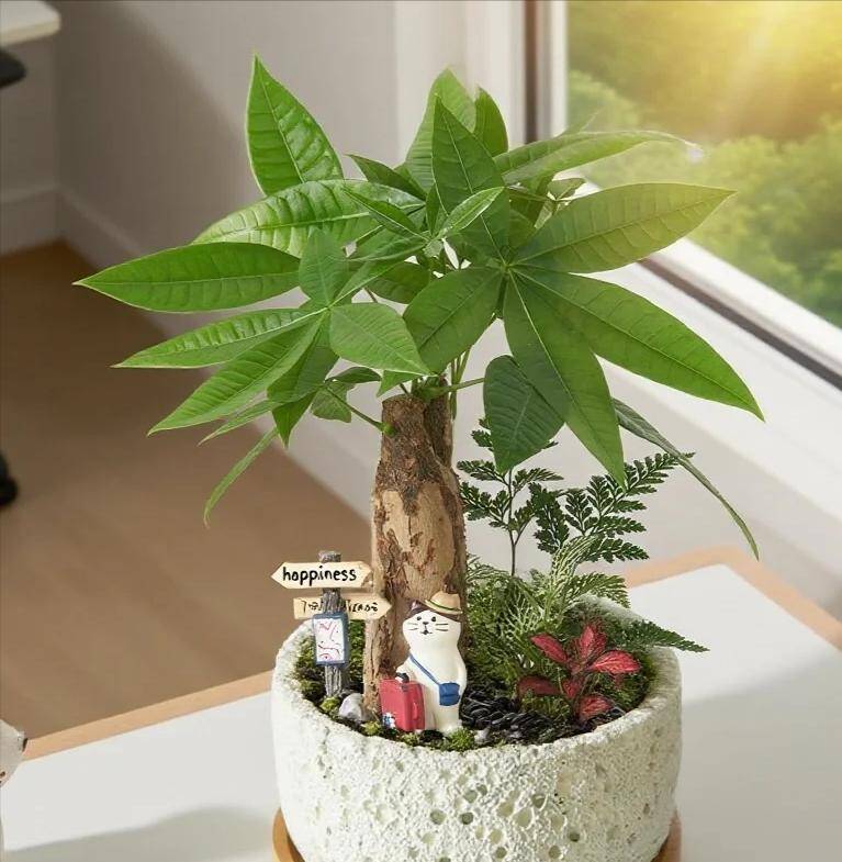 Ngày càng nhiều người đưa cây kim ngân vào &#34;danh sách đen&#34;, đây là 5 lý do bạn nên biết - 4