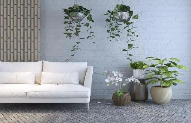 Những đại kỵ phong thủy trong nhà ở 90% người mắc phải, chẳng trách gia đình khó phất lên - 2