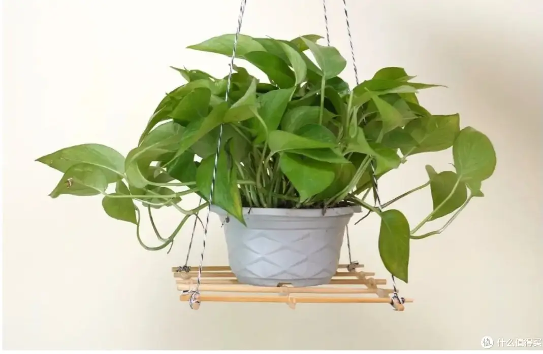 Tại sao nên đặt một đôi đũa trong bồn cầu? Đây là lý do - 6