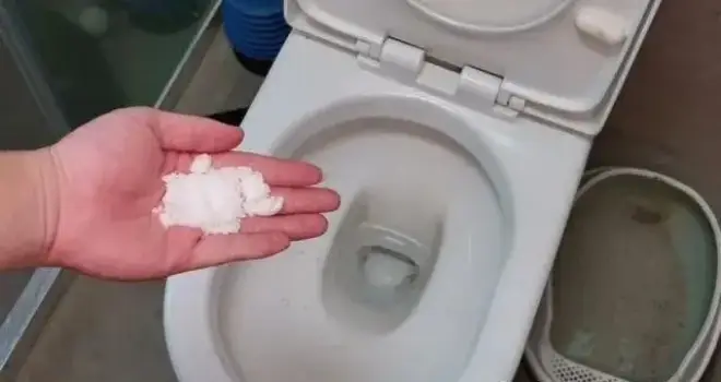 Tại sao nên rắc một nắm muối vào bồn cầu? - 2