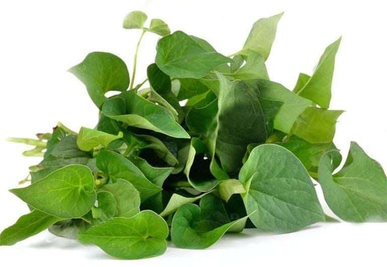 Rau dại này người Nhật ví như &#34;rau giải độc&#34;, vitamin C gần gấp đôi cam, toàn thân đều là thuốc bổ mùa hè, tốt cho mẹ bầu - 4