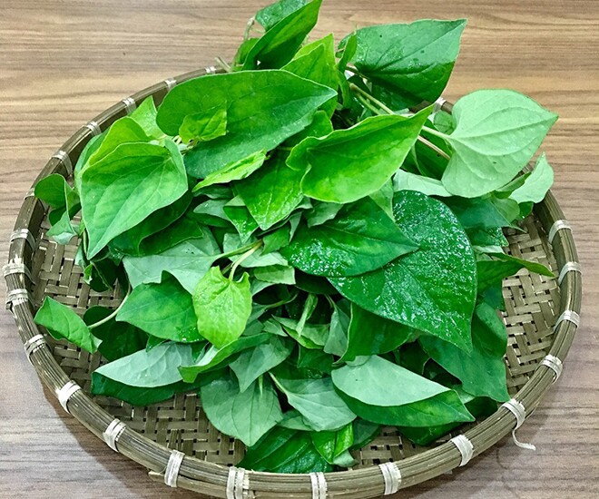 Rau dại này người Nhật ví như &#34;rau giải độc&#34;, vitamin C gần gấp đôi cam, toàn thân đều là thuốc bổ mùa hè, tốt cho mẹ bầu - 1