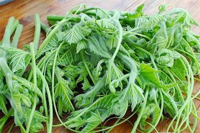 Loại rau nhà nghèo bán đầy chợ được ví như &#34;thần dược bổ máu&#34;, giàu sắt và canxi, mẹ bầu đừng bỏ qua! - 1