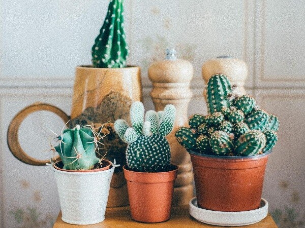 Tháng cô hồn, dù nhà giàu đến mấy cũng nên dẹp bỏ 4 thứ này trong phòng ngủ để sức khoẻ tốt, đuổi sạch vận xui - 3