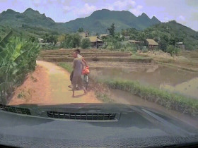 Clip: Nhường đường cho ô tô, người đàn ông dắt xe đạp cắm đầu xuống ruộng