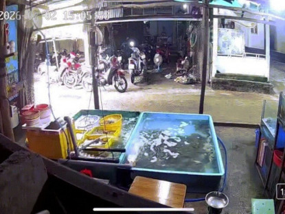 Giao thông - Clip: "Dở khóc dở cười" bé gái phóng xe máy lao thẳng vào bể hải sản trước nhà