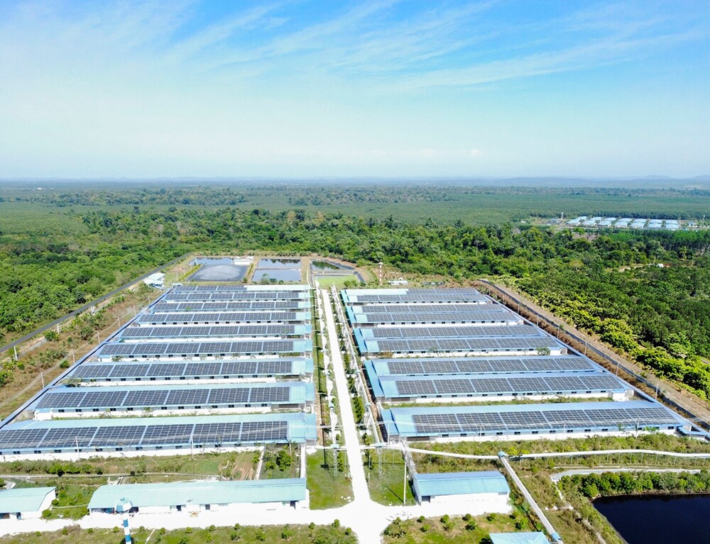 C.P. Việt Nam được vinh danh Top 10 “Doanh nghiệp Xanh - NetZero Hành động” tại Diễn đàn Năng lượng và Môi trường Thế giới - Việt Nam 2026 - 4