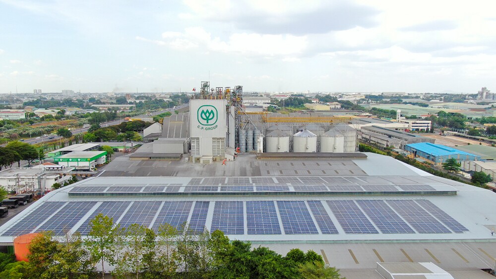 C.P. Việt Nam được vinh danh Top 10 “Doanh nghiệp Xanh - NetZero Hành động” tại Diễn đàn Năng lượng và Môi trường Thế giới - Việt Nam 2026 - 5