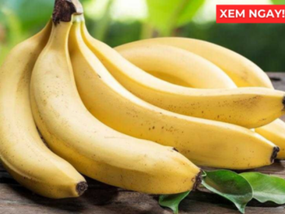 Thông tin doanh nghiệp - Thời điểm ăn chuối tốt hơn cả thuốc bổ, giúp phổi thông thoáng, ho giảm, đàm loãng và thở dễ hơn