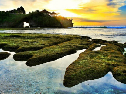 Thông tin doanh nghiệp - Lưng chừng trời biển Bali