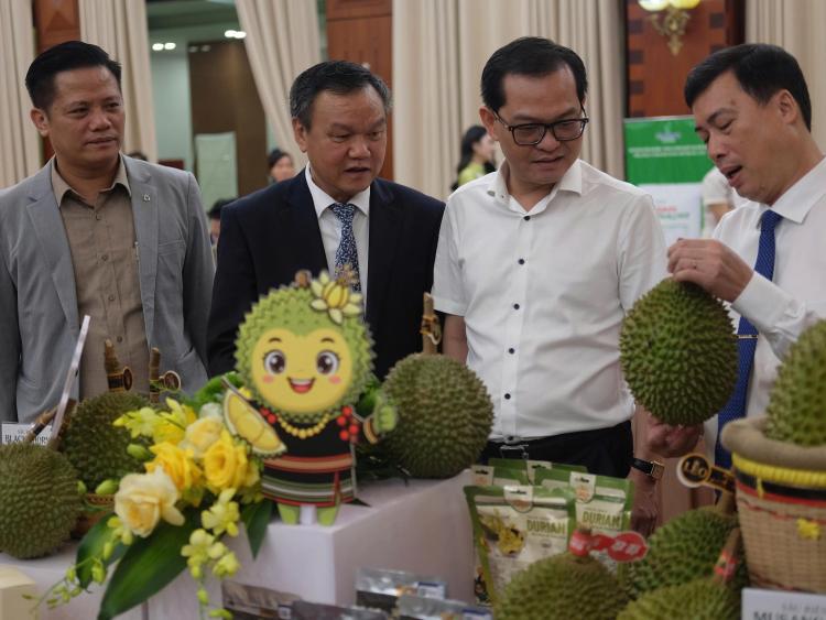 Đắk Lắk kỳ vọng đưa thương hiệu sầu riêng vươn tầm quốc tế