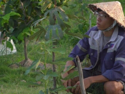 Thông tin doanh nghiệp - Nguyễn Ngọc Hiển: Chàng trai trẻ rời phố về hái “trái ngọt” nơi thôn quê