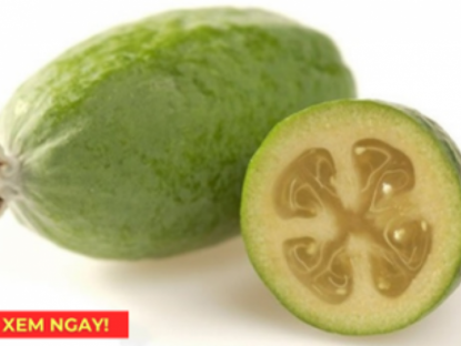 Thông tin doanh nghiệp - “Siêu trái cây” chứa hàm lượng vitamin C cao vượt trội, rất tốt cho hô hấp mùa nắng nóng!