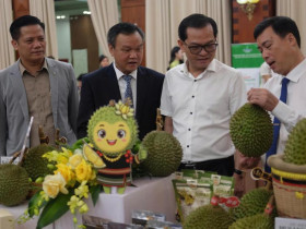 Đắk Lắk kỳ vọng đưa thương hiệu sầu riêng vươn tầm quốc tế