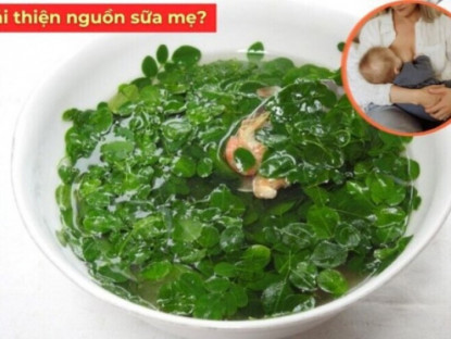 Thông tin doanh nghiệp - “Siêu thực phẩm” từng mọc dại ven đường, nay được nhiều mẹ sau sinh ít sữa coi như “báu vật”