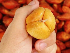 Ai trào ngược dạ dày dù nhẹ hay nặng cứ mách họ mẹo này đảm bảo biết ơn bạn cả đời