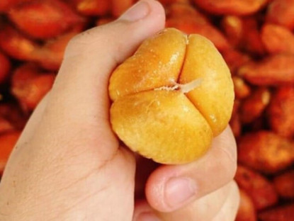 Thông tin doanh nghiệp - Ai trào ngược dạ dày dù nhẹ hay nặng cứ mách họ mẹo này đảm bảo biết ơn bạn cả đời
