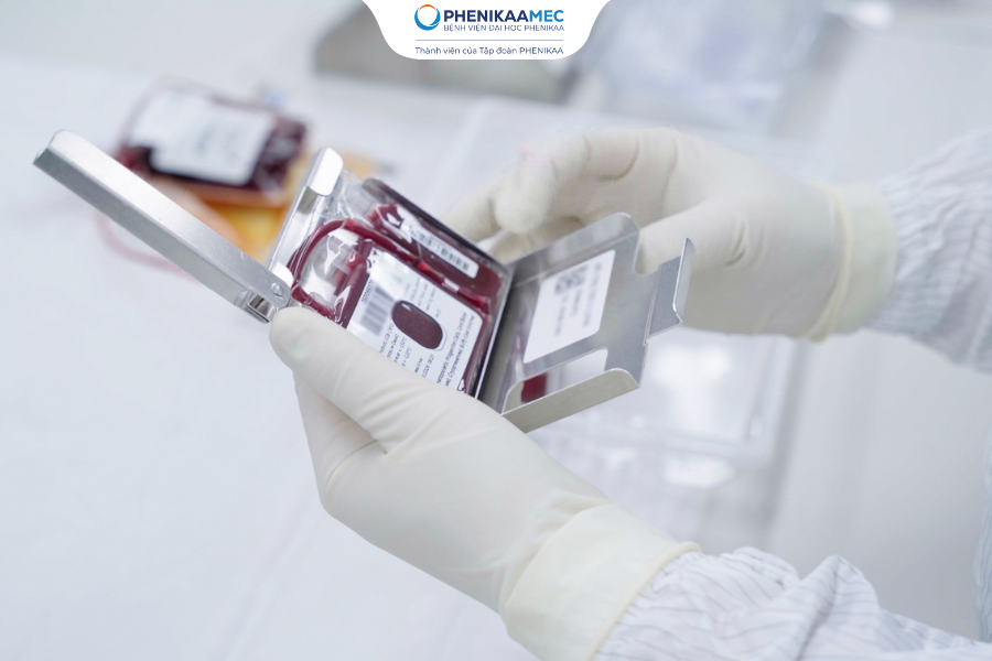 Phân lập PRP tại Trung tâm Tế bào gốc và Ngân hàng mô PhenikaaMec: Chuẩn hóa chế phẩm sinh học, mở rộng cơ hội ứng dụng y học tái tạo - 2
