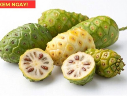 Thông tin doanh nghiệp - Loại quả có mùi cực hôi, ở Việt Nam rẻ bèo, sang Nhật thành đặc sản tiền triệu, nhiều người tiếc vì biết quá muộn