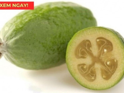 Thông tin doanh nghiệp - “Siêu trái cây” chứa hàm lượng vitamin C cao vượt trội, rất tốt cho hô hấp!