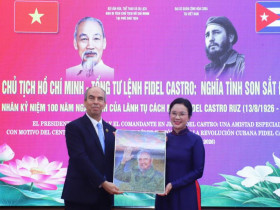 Chuỗi hoạt động chuyên đề 
