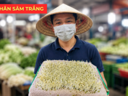 Thông tin doanh nghiệp - Chỉ mất vài ngàn đồng là nắm trong tay “nhân sâm trắng” đại bổ cho người mắc tiểu đêm, tiểu nhiều
