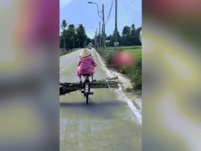 Giao thông - Clip: Hú hồn người phụ nữ ung dung chở mía chắn ngang đường mặc ô tô bấm còi