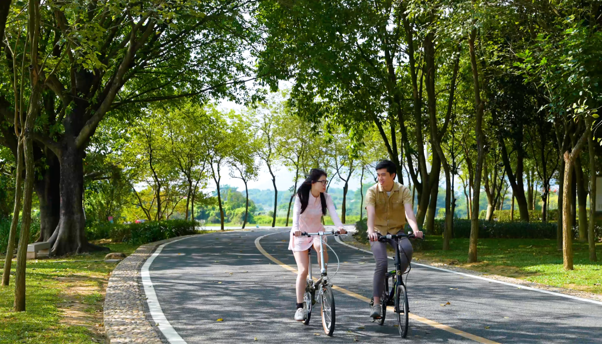 Xu hướng di chuyển “4+2” mở ra phong cách sống linh hoạt cho người Việt - 4