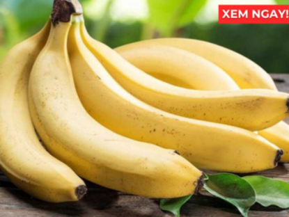 Thông tin doanh nghiệp - Thời điểm ăn chuối tốt hơn cả thuốc bổ, giúp phổi thông thoáng, ho giảm, đàm loãng và thở dễ hơn