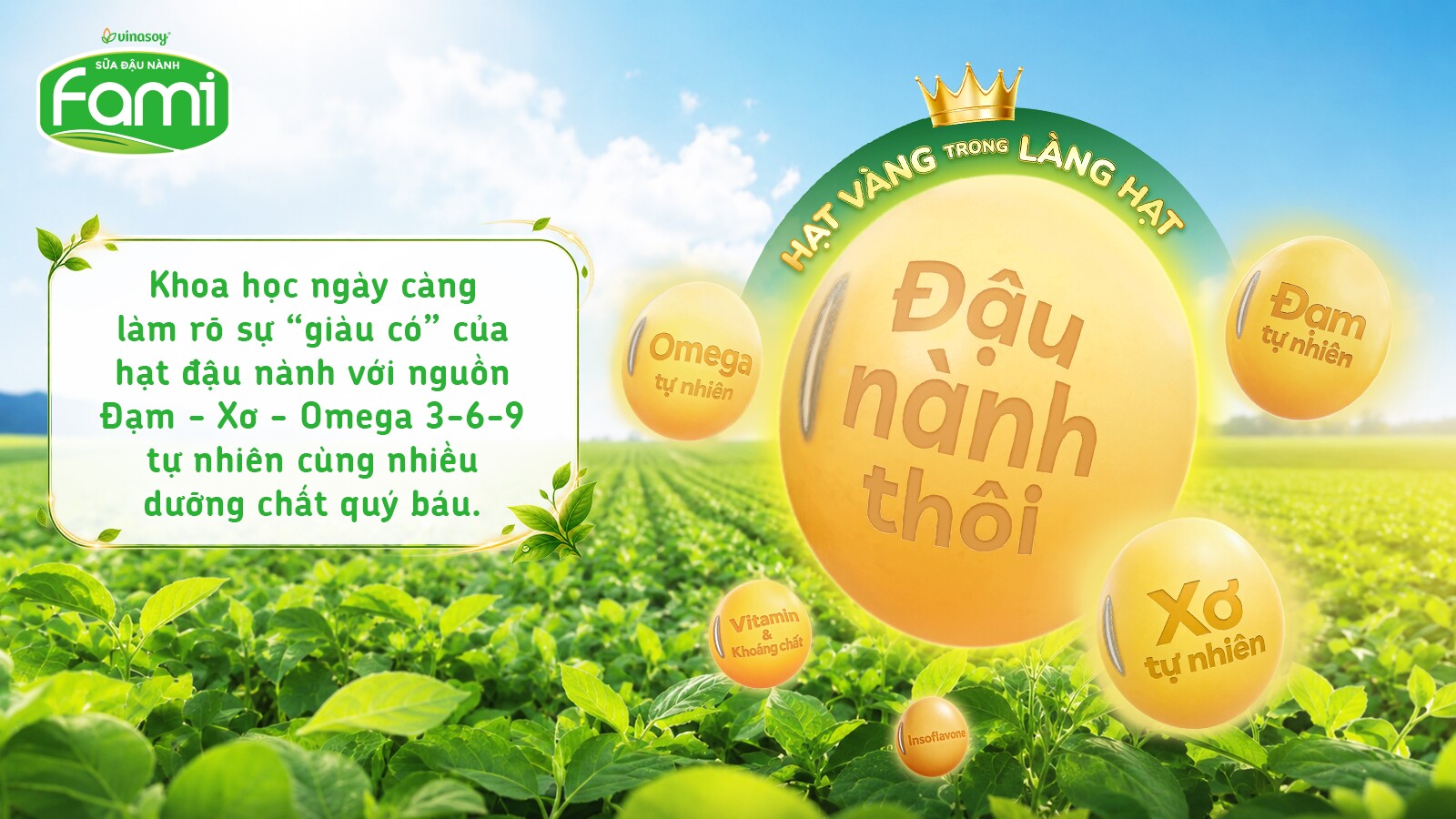 Từ hạt đậu nành nhỏ bé đến “hạt vàng tự nhiên” giàu dưỡng chất lành - 1