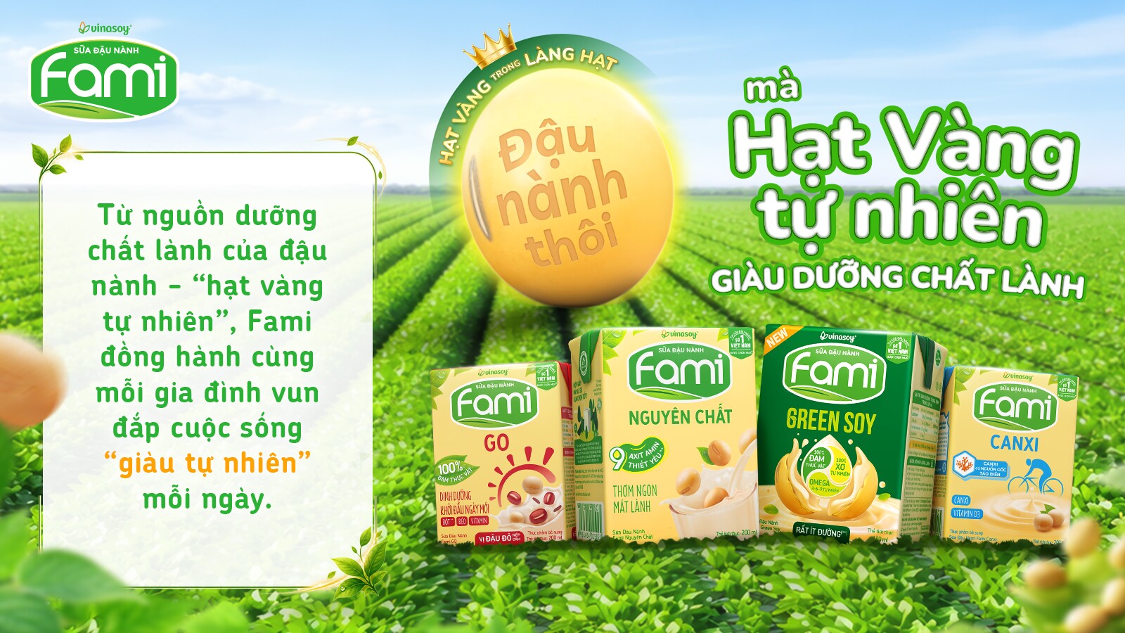 Từ hạt đậu nành nhỏ bé đến “hạt vàng tự nhiên” giàu dưỡng chất lành - 5