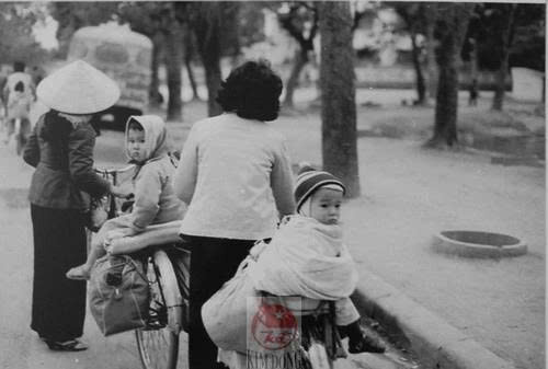 “Mẹ ơi… Mẹ có nghe không?” – tiếng gọi từ miền ký ức - 1