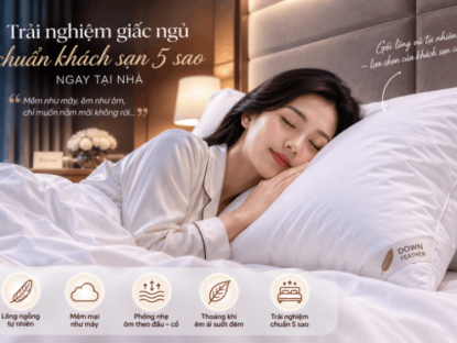 Thông tin doanh nghiệp - Gối lông vũ tự nhiên có gì đặc biệt mà khách sạn cao cấp ưa chuộng?