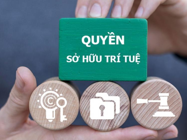 Tăng cường chế tài xử lý các hành vi xâm phạm quyền, vi phạm pháp luật về sở hữu trí tuệ