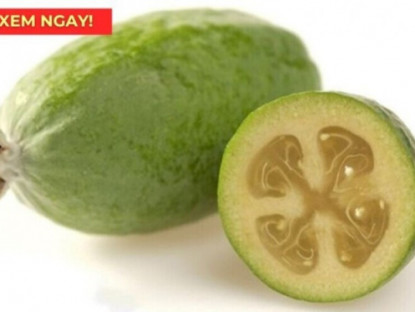 Thông tin doanh nghiệp - “Siêu trái cây” chứa hàm lượng vitamin C cao vượt trội, rất tốt cho hô hấp!