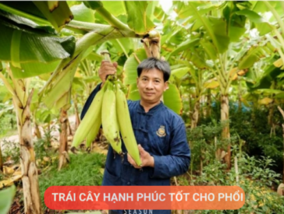 Thông tin doanh nghiệp - Loại quả được mệnh danh là “trái cây hạnh phúc”, rất giàu dinh dưỡng cho phổi, nhưng thường bị người Việt bỏ qua