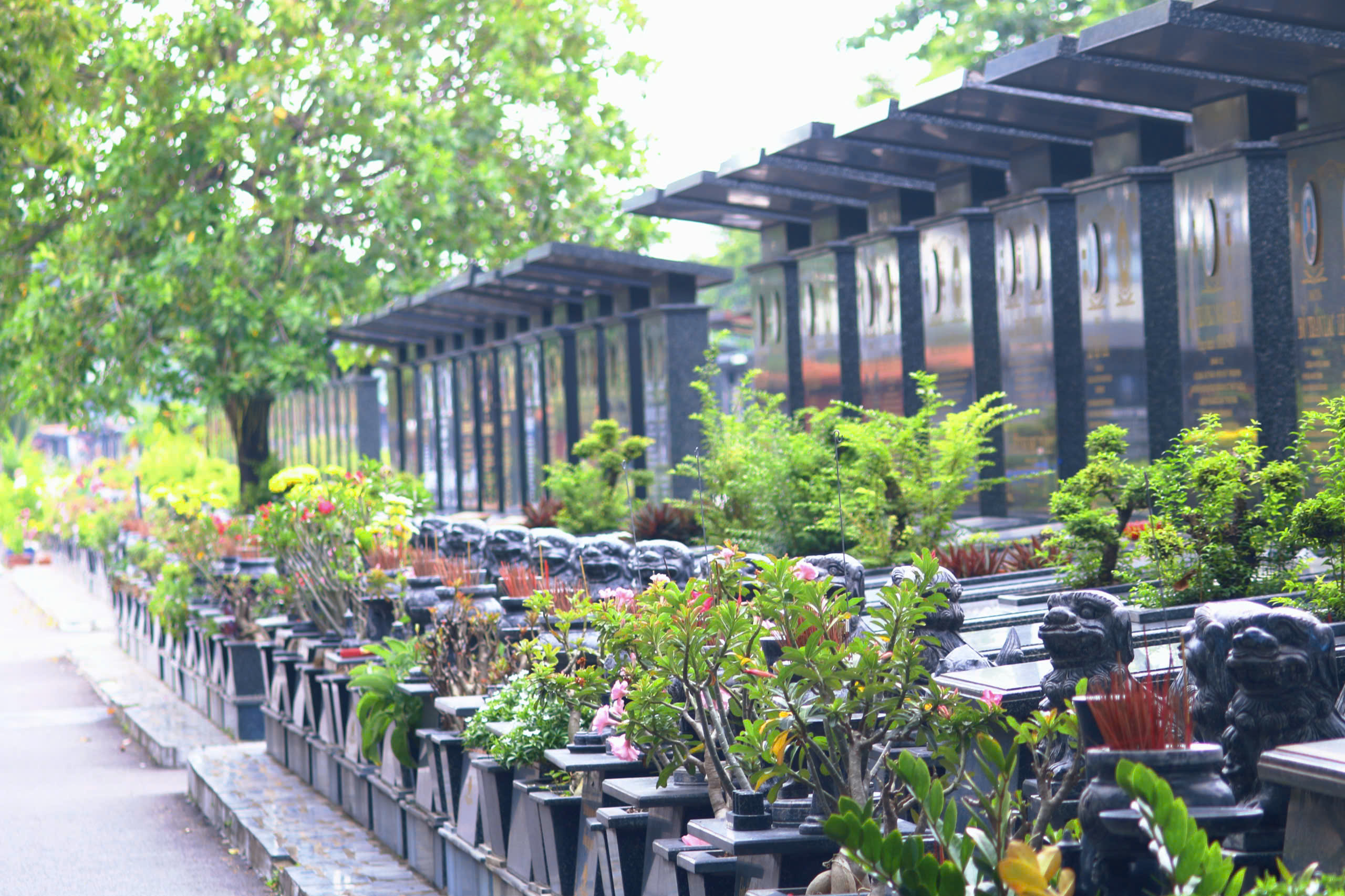 Nhiều người trẻ lựa chọn tưởng nhớ người có công tại Nghĩa trang TP.HCM - 17
