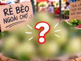 Loại quả rẻ bèo lại được ví như “siêu trái cây” chống oxy hóa cực tốt cho người bị đàm, ho, khó thở lâu năm!