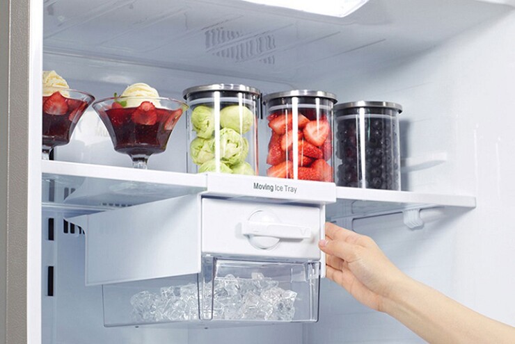 Nhiều người đang bảo quản thức ăn trong tủ lạnh sai cách mà không hề hay biết - 1