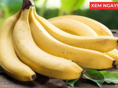 Thông tin doanh nghiệp - Thời điểm ăn chuối tốt hơn cả thuốc bổ, giúp phổi thông thoáng, ho giảm, đàm loãng và thở dễ hơn