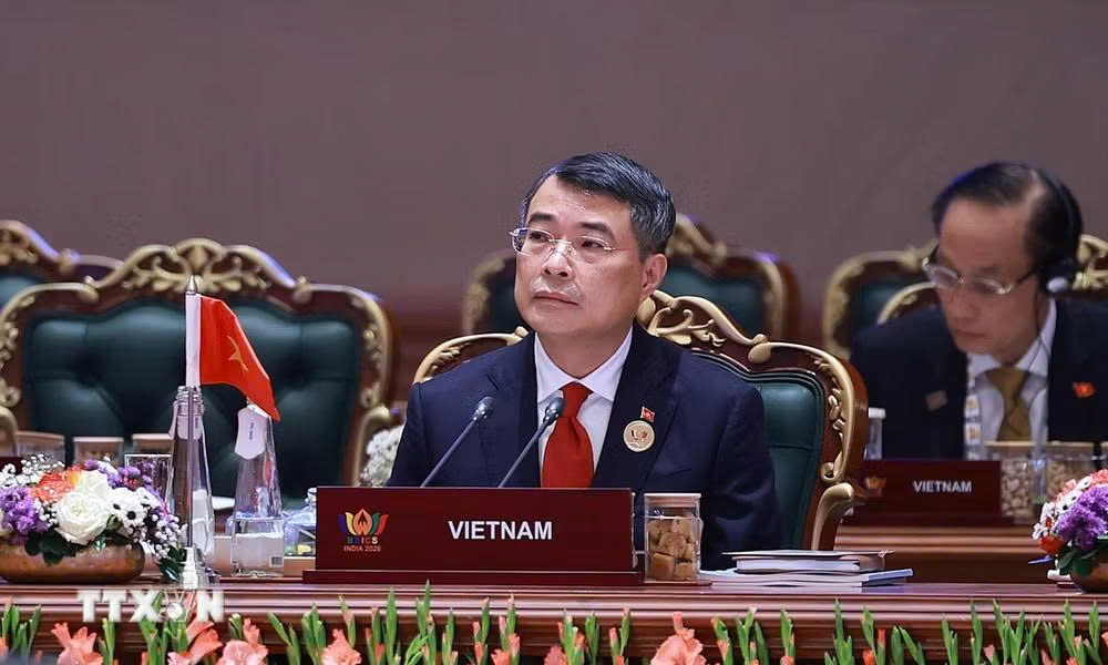 Chuyến công tác dự Hội nghị BRICS và làm việc tại Ấn Độ của Thủ tướng Lê Minh Hưng đạt nhiều kết quả nổi bật - 2